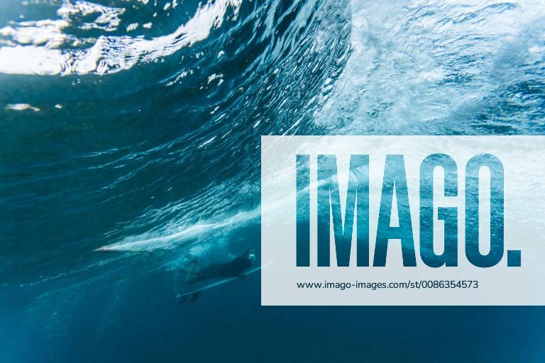 Underwater view of male surfer diving in ocean, Male, Maldives, Male Maldives Maldives TRKO023159 model released Symbolfoto