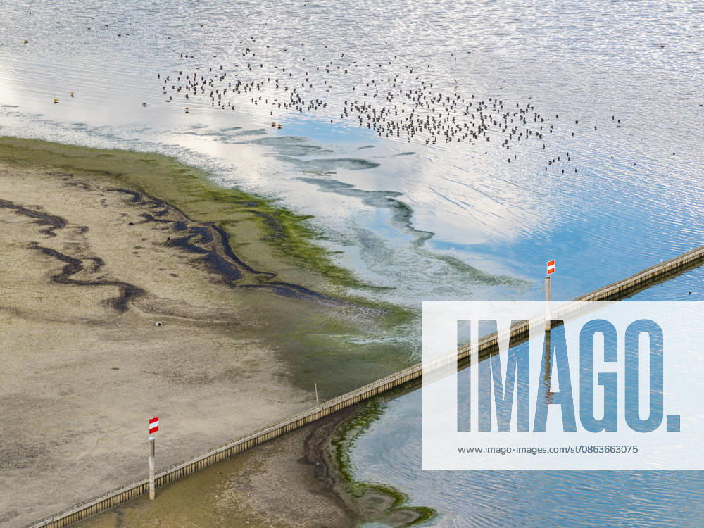 The mouth of the Radolfzell Aach at the Port of Moos on Lake Constance, with very little water. Water levels are at a record low due to the hot summer. Many ports on the Untersee have almost no water left. Moos is located on the shore of Lake Constance on the Höri Peninsula. August 6, 2026, Moos, Baden-Württemberg, Germany