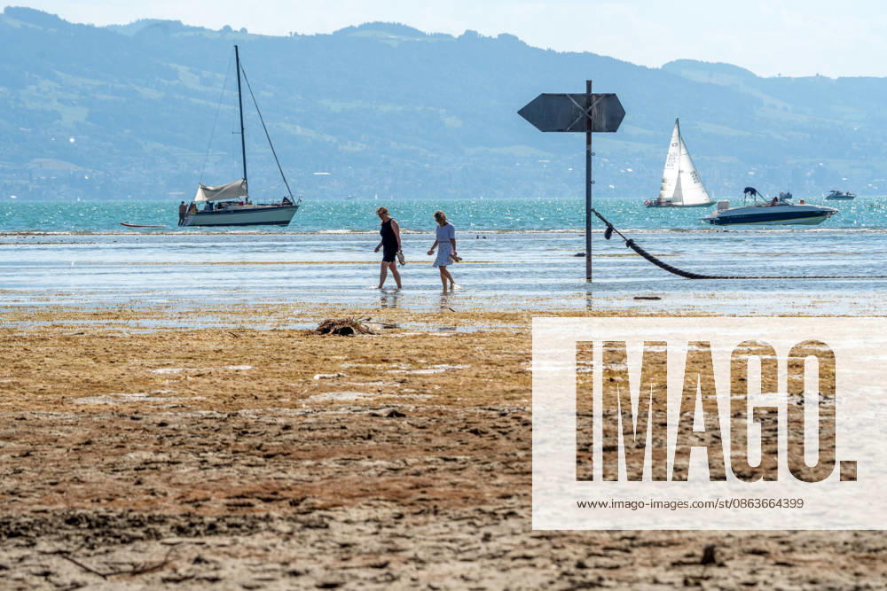 Shore area at Lake Constance exposed by drought; walkers wading through the shallow water toward the shore; Wasserburg, August 2026, Germany; Wasserburg, August 2026, shoreline exposed by droug