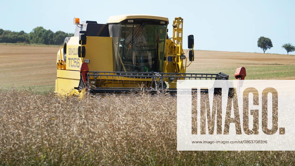 Rapeseed harvest in Eilensen in the Northeim am Solling district of Lower Saxony, Germany. A New Holland combine harvester is threshing rapeseed in a dry field under sunny summer skies. 2026 rapeseed harvest in Lower Saxony