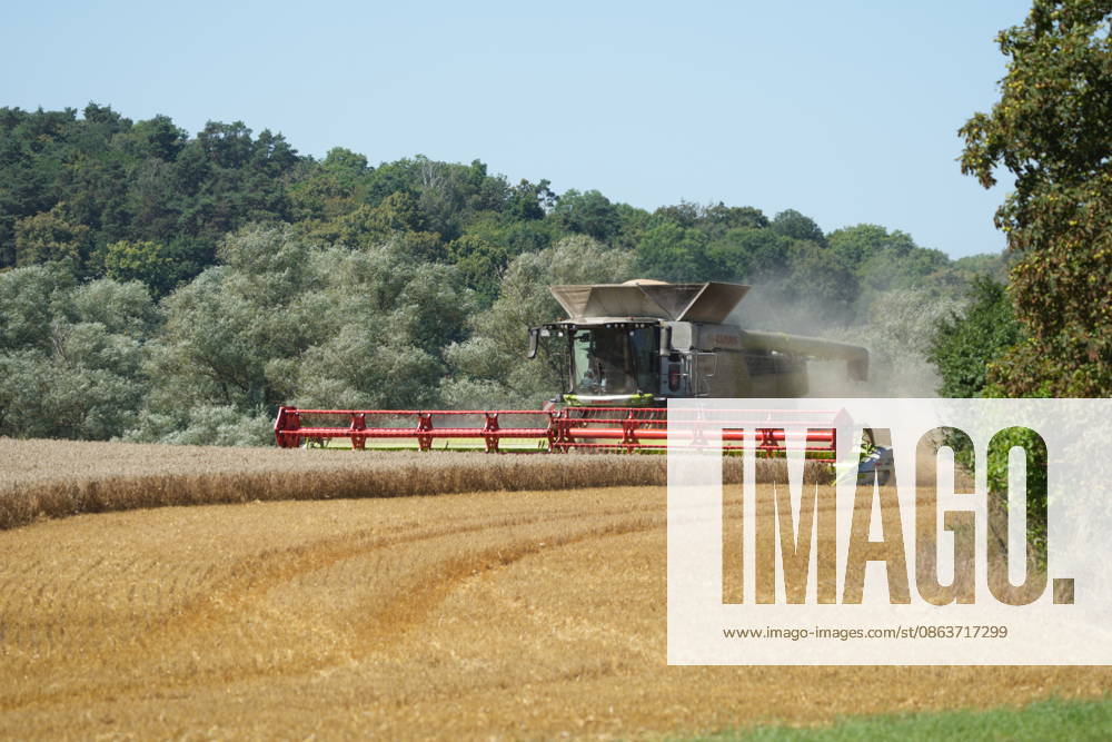 Uckermark GER, Germany, 20260810, Uckermark, Combine Harvester