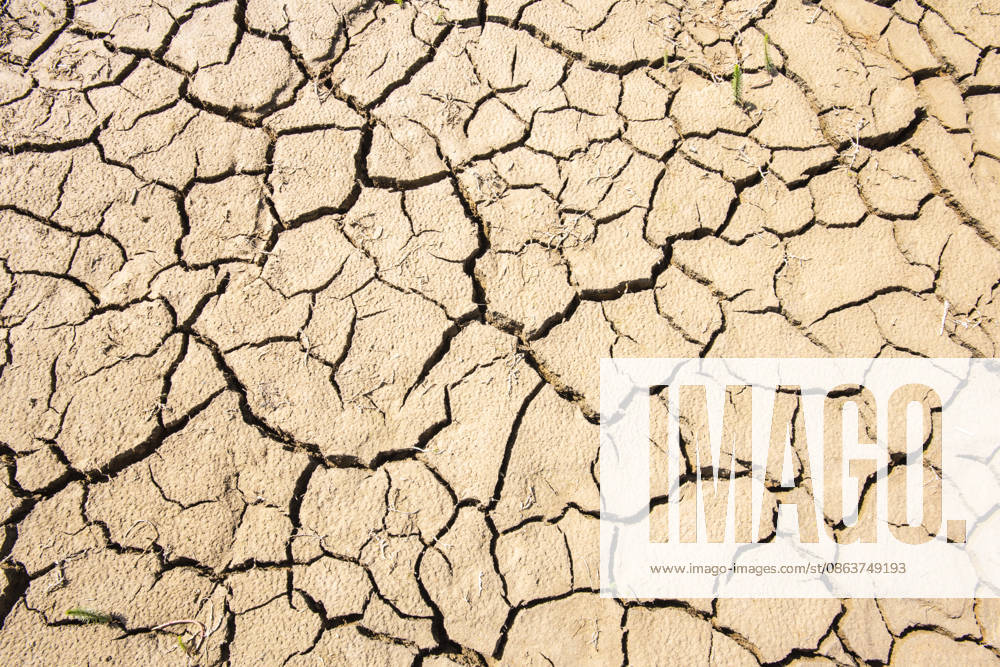 Drought and Water Shortage: Cracked and dry soil as a symbolic image of water shortage, drought, and heat. PHOTOMONTAGE FOR