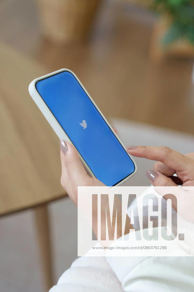 Handy mit neuem ?X?-Logo für Twitter auf blauem Hintergrund mit weißem Vogel; Elon Musk verspricht, das Vogel-Logo abzuschaffen mobile phone with new logo X for twitter on blue background with white bird, Elon Musk vows to ditch bird logo. (License=RM)