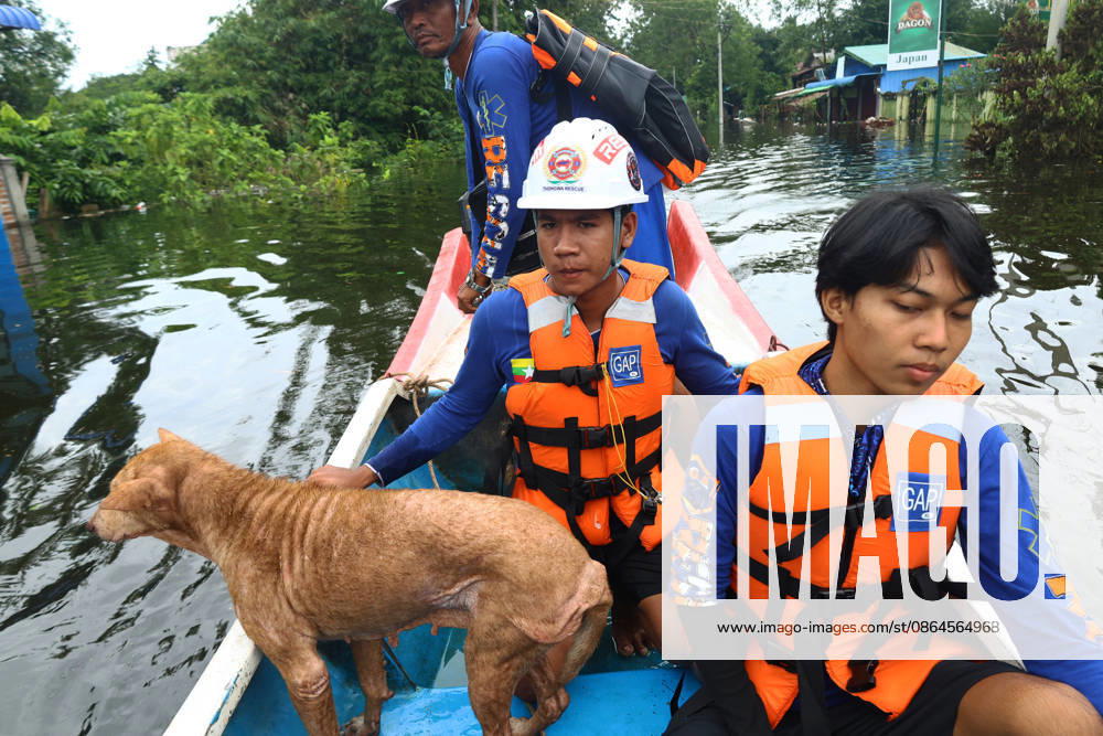 Rescue team members save a dog from floodwaters in Ngathaingchaung Township, Ayeyarwady Region, Myanmar..In Laymyethna Township, Ayeyarwady Region, the Ngawun River embankment collapsed on July 31, leaving nearby towns including Hinthada, Yegyi, Ngathaingchaung, Kyonpyaw and Kyaunggon still inundated for three weeks, affecting tens of thousands of people, officials said. Ngathaingchaung Myanmar - ZUMAn324 20260820_zip_n324_004
