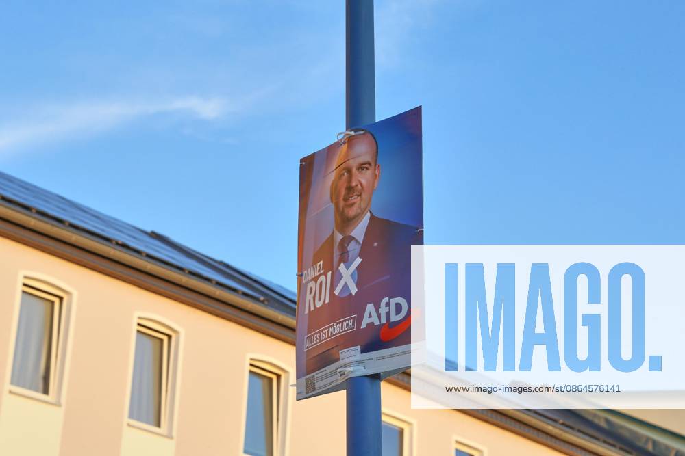 Election poster for the 2026 state election featuring Daniel Roi, AfD