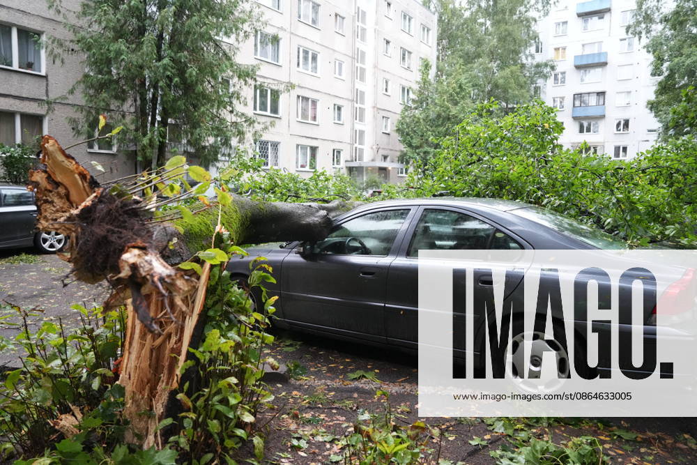 (260823) -- RIGA, Aug. 23, 2026 -- This photo taken on Aug. 23, 2026 shows the aftermath of a powerful storm in Riga, Latvia. A powerful cyclone swept northward across the three Baltic states on Saturday, killing two as strong winds, torrential rain and thunderstorms ravaged Lithuania, Latvia and Estonia. Meteorological data showed Saturday s storm was the most destructive to hit Latvia since January 2005. (Photo by Xinhua) LATVIA-RIGA-STORM-AFTERMATH EdijsxPalens