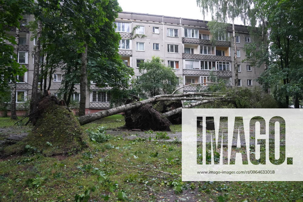 (260823) -- RIGA, Aug. 23, 2026 -- This photo taken on Aug. 23, 2026 shows the aftermath of a powerful storm in Riga, Latvia. A powerful cyclone swept northward across the three Baltic states on Saturday, killing two as strong winds, torrential rain and thunderstorms ravaged Lithuania, Latvia and Estonia. Meteorological data showed Saturday s storm was the most destructive to hit Latvia since January 2005. (Photo by Xinhua) LATVIA-RIGA-STORM-AFTERMATH EdijsxPalens