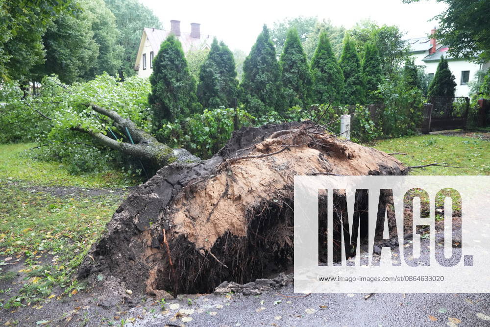 (260823) -- RIGA, Aug. 23, 2026 -- This photo taken on Aug. 23, 2026 shows the aftermath of a powerful storm in Riga, Latvia. A powerful cyclone swept northward across the three Baltic states on Saturday, killing two as strong winds, torrential rain and thunderstorms ravaged Lithuania, Latvia and Estonia. Meteorological data showed Saturday s storm was the most destructive to hit Latvia since January 2005. (Photo by Xinhua) LATVIA-RIGA-STORM-AFTERMATH EdijsxPalens