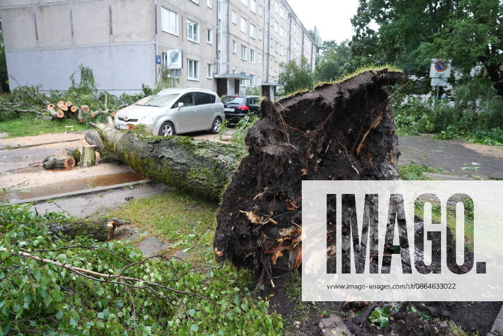 (260823) -- RIGA, Aug. 23, 2026 -- This photo taken on Aug. 23, 2026 shows the aftermath of a powerful storm in Riga, Latvia. A powerful cyclone swept northward across the three Baltic states on Saturday, killing two as strong winds, torrential rain and thunderstorms ravaged Lithuania, Latvia and Estonia. Meteorological data showed Saturday s storm was the most destructive to hit Latvia since January 2005. (Photo by Xinhua) LATVIA-RIGA-STORM-AFTERMATH EdijsxPalens