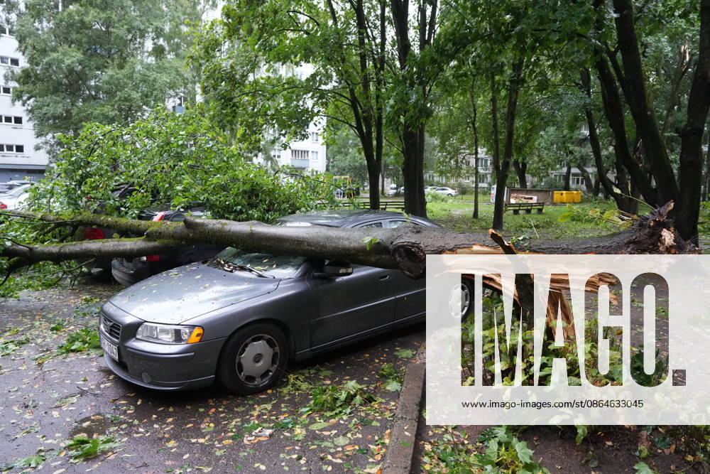 (260823) -- RIGA, Aug. 23, 2026 -- This photo taken on Aug. 23, 2026 shows the aftermath of a powerful storm in Riga, Latvia. A powerful cyclone swept northward across the three Baltic states on Saturday, killing two as strong winds, torrential rain and thunderstorms ravaged Lithuania, Latvia and Estonia. Meteorological data showed Saturday s storm was the most destructive to hit Latvia since January 2005. (Photo by Xinhua) LATVIA-RIGA-STORM-AFTERMATH EdijsxPalens