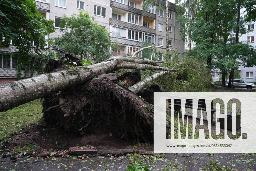 (260823) -- RIGA, Aug. 23, 2026 -- This photo taken on Aug. 23, 2026 shows the aftermath of a powerful storm in Riga, Latvia. A powerful cyclone swept northward across the three Baltic states on Saturday, killing two as strong winds, torrential rain and thunderstorms ravaged Lithuania, Latvia and Estonia. Meteorological data showed Saturday s storm was the most destructive to hit Latvia since January 2005. (Photo by Xinhua) LATVIA-RIGA-STORM-AFTERMATH EdijsxPalens