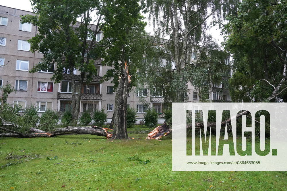 (260823) -- RIGA, Aug. 23, 2026 -- This photo taken on Aug. 23, 2026 shows the aftermath of a powerful storm in Riga, Latvia. A powerful cyclone swept northward across the three Baltic states on Saturday, killing two as strong winds, torrential rain and thunderstorms ravaged Lithuania, Latvia and Estonia. Meteorological data showed Saturday s storm was the most destructive to hit Latvia since January 2005. (Photo by Xinhua) LATVIA-RIGA-STORM-AFTERMATH EdijsxPalens
