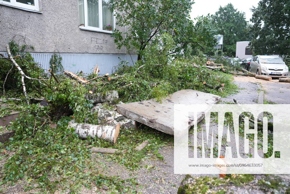 (260823) -- RIGA, Aug. 23, 2026 -- This photo taken on Aug. 23, 2026 shows the aftermath of a powerful storm in Riga, Latvia. A powerful cyclone swept northward across the three Baltic states on Saturday, killing two as strong winds, torrential rain and thunderstorms ravaged Lithuania, Latvia and Estonia. Meteorological data showed Saturday s storm was the most destructive to hit Latvia since January 2005. (Photo by Xinhua) LATVIA-RIGA-STORM-AFTERMATH EdijsxPalens