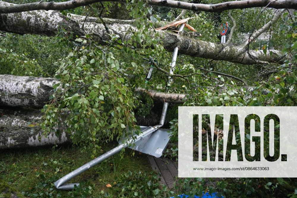 (260823) -- RIGA, Aug. 23, 2026 -- This photo taken on Aug. 23, 2026 shows the aftermath of a powerful storm in Riga, Latvia. A powerful cyclone swept northward across the three Baltic states on Saturday, killing two as strong winds, torrential rain and thunderstorms ravaged Lithuania, Latvia and Estonia. Meteorological data showed Saturday s storm was the most destructive to hit Latvia since January 2005. (Photo by Xinhua) LATVIA-RIGA-STORM-AFTERMATH EdijsxPalens