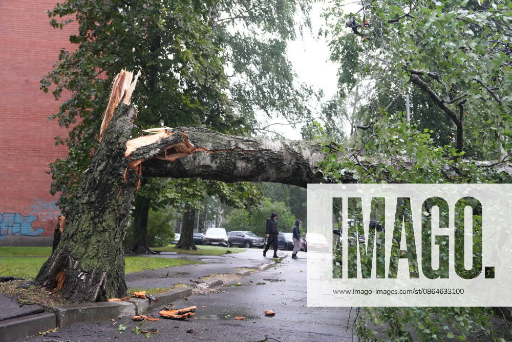 (260823) -- RIGA, Aug. 23, 2026 -- This photo taken on Aug. 23, 2026 shows the aftermath of a powerful storm in Riga, Latvia. A powerful cyclone swept northward across the three Baltic states on Saturday, killing two as strong winds, torrential rain and thunderstorms ravaged Lithuania, Latvia and Estonia. Meteorological data showed Saturday s storm was the most destructive to hit Latvia since January 2005. (Photo by Xinhua) LATVIA-RIGA-STORM-AFTERMATH EdijsxPalens