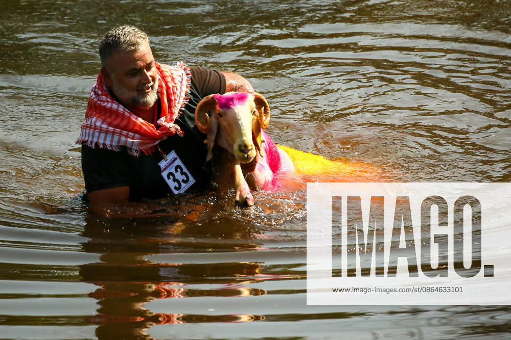 Shepherds and adorned sheep compete in Turkiye s 853-year-old river crossing contest DENIZLI, TURKIYE - AUGUST 23: Shepherds guide their sheep to cross the Buyuk Menderes River during the 853-year-old traditional Sheep Crossing Water Contest in the Cal district of Denizli, Turkiye on August 23, 2026. This year s historic event saw 47 shepherds with 63 flocks participating from surrounding districts. Waiting their turn since sunrise, the shepherds led their painted and decorated leader sheep ( elci ) to guide the rest of the flock across the river. Mahmut Serdar Alakus Anadolu Denizli Turkey. Editorial use only. Please get in touch for any other usage.