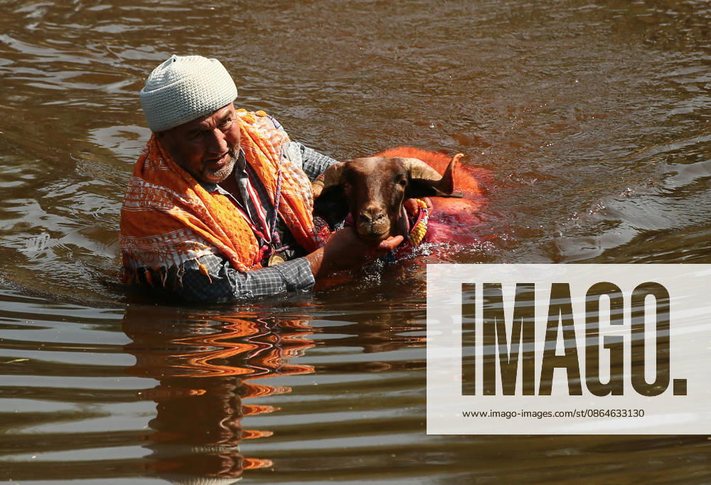 Shepherds and adorned sheep compete in Turkiye s 853-year-old river crossing contest DENIZLI, TURKIYE - AUGUST 23: Shepherds guide their sheep to cross the Buyuk Menderes River during the 853-year-old traditional Sheep Crossing Water Contest in the Cal district of Denizli, Turkiye on August 23, 2026. This year s historic event saw 47 shepherds with 63 flocks participating from surrounding districts. Waiting their turn since sunrise, the shepherds led their painted and decorated leader sheep ( elci ) to guide the rest of the flock across the river. Mahmut Serdar Alakus Anadolu Denizli Turkey. Editorial use only. Please get in touch for any other usage.