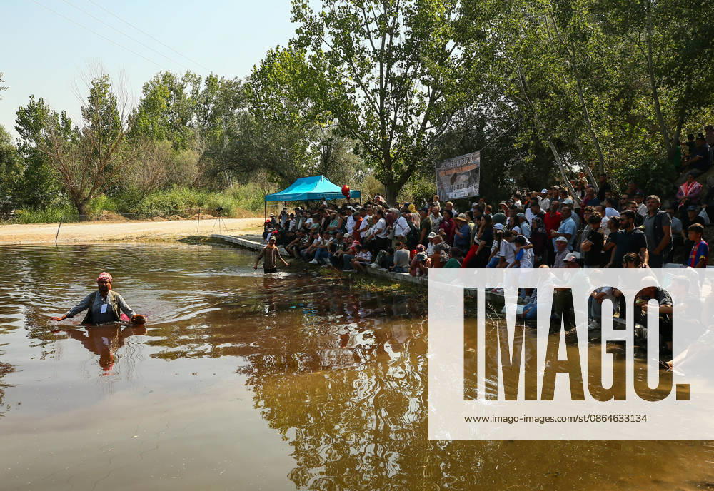 Shepherds and adorned sheep compete in Turkiye s 853-year-old river crossing contest DENIZLI, TURKIYE - AUGUST 23: Shepherds guide their sheep to cross the Buyuk Menderes River during the 853-year-old traditional Sheep Crossing Water Contest in the Cal district of Denizli, Turkiye on August 23, 2026. This year s historic event saw 47 shepherds with 63 flocks participating from surrounding districts. Waiting their turn since sunrise, the shepherds led their painted and decorated leader sheep ( elci ) to guide the rest of the flock across the river. Mahmut Serdar Alakus Anadolu Denizli Turkey. Editorial use only. Please get in touch for any other usage.