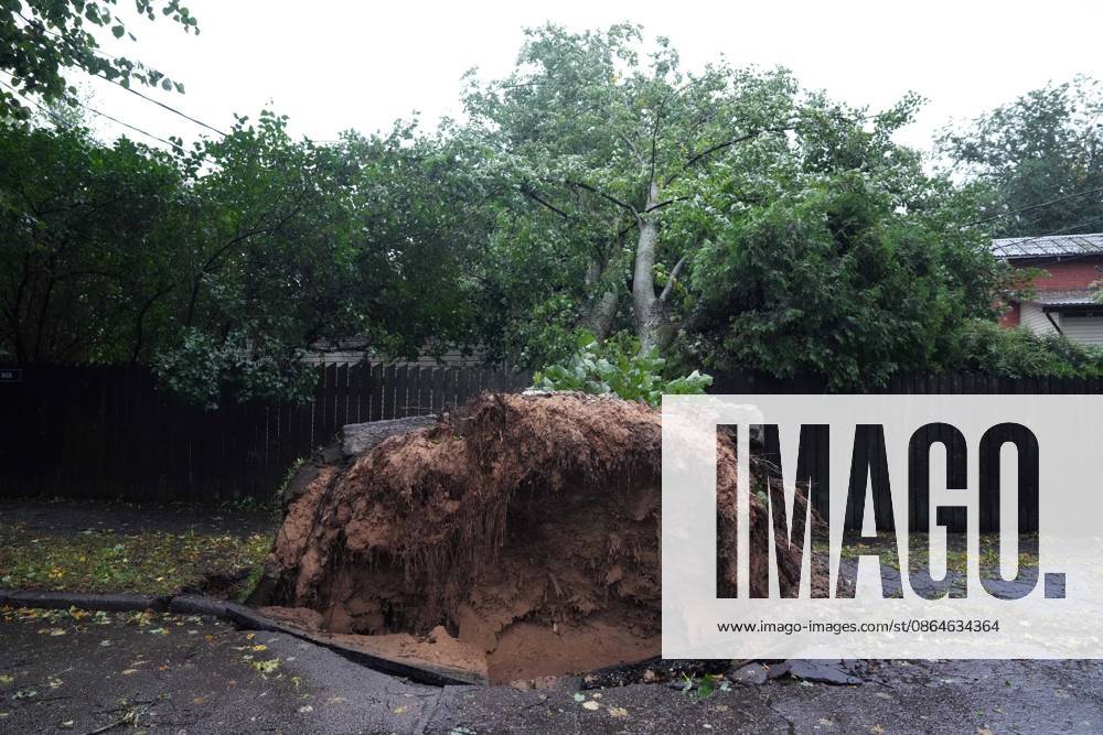 Riga, Latvija: The aftermath of a powerful storm is seen in Riga, Latvia, Aug. 23, 2026. Fallen and uprooted trees are scattered across residential areas, damaging parked cars, blocking roads and walkways, and posing a threat to nearby buildings. The storm, which swept across Latvia on Saturday evening and overnight, caused widespread damage across the country, with Riga recording the highest number of reports of storm-related incidents. As of Sunday morning, emergency services had received nearly 1,900 reports of damage caused by strong winds nationwide. Riga Latvija - ZUMAp305 20260823_zip_p305_001