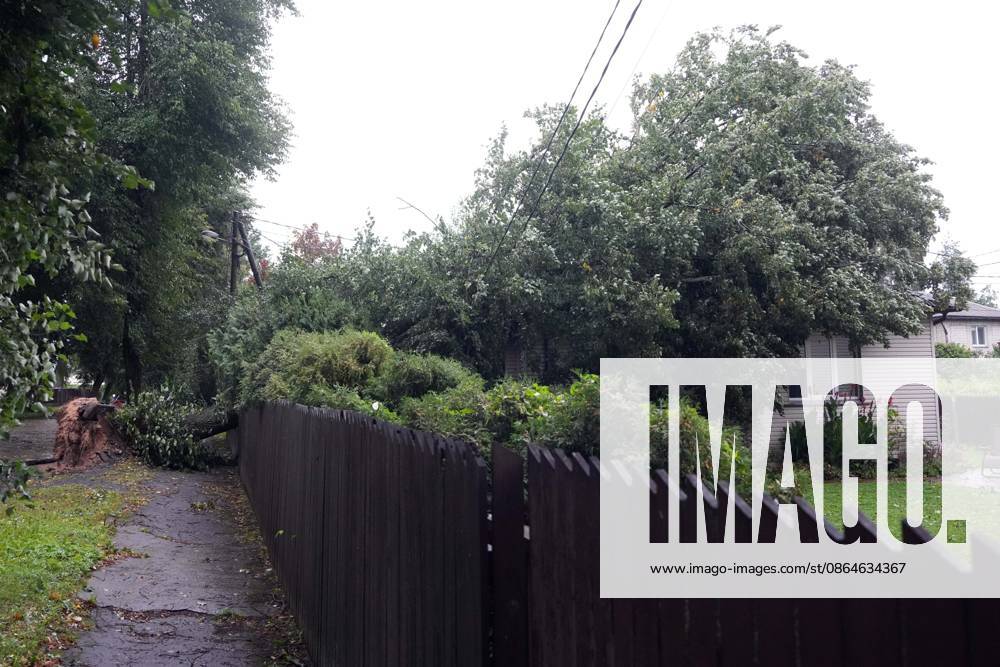 Riga, Latvija: The aftermath of a powerful storm is seen in Riga, Latvia, Aug. 23, 2026. Fallen and uprooted trees are scattered across residential areas, damaging parked cars, blocking roads and walkways, and posing a threat to nearby buildings. The storm, which swept across Latvia on Saturday evening and overnight, caused widespread damage across the country, with Riga recording the highest number of reports of storm-related incidents. As of Sunday morning, emergency services had received nearly 1,900 reports of damage caused by strong winds nationwide. Riga Latvija - ZUMAp305 20260823_zip_p305_003