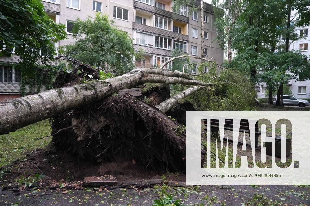 Riga, Latvija: The aftermath of a powerful storm is seen in Riga, Latvia, Aug. 23, 2026. Fallen and uprooted trees are scattered across residential areas, damaging parked cars, blocking roads and walkways, and posing a threat to nearby buildings. The storm, which swept across Latvia on Saturday evening and overnight, caused widespread damage across the country, with Riga recording the highest number of reports of storm-related incidents. As of Sunday morning, emergency services had received nearly 1,900 reports of damage caused by strong winds nationwide. Riga Latvija - ZUMAp305 20260823_zip_p305_004