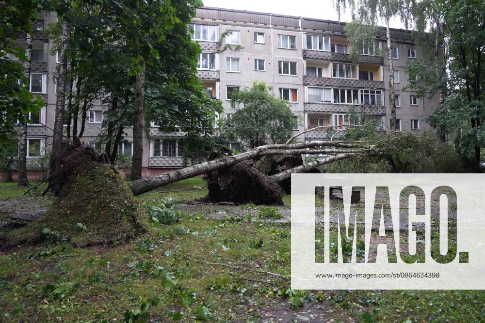 Riga, Latvija: The aftermath of a powerful storm is seen in Riga, Latvia, Aug. 23, 2026. Fallen and uprooted trees are scattered across residential areas, damaging parked cars, blocking roads and walkways, and posing a threat to nearby buildings. The storm, which swept across Latvia on Saturday evening and overnight, caused widespread damage across the country, with Riga recording the highest number of reports of storm-related incidents. As of Sunday morning, emergency services had received nearly 1,900 reports of damage caused by strong winds nationwide. Riga Latvija - ZUMAp305 20260823_zip_p305_005