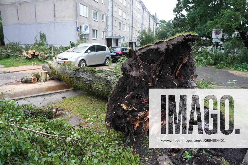 Riga, Latvija: The aftermath of a powerful storm is seen in Riga, Latvia, Aug. 23, 2026. Fallen and uprooted trees are scattered across residential areas, damaging parked cars, blocking roads and walkways, and posing a threat to nearby buildings. The storm, which swept across Latvia on Saturday evening and overnight, caused widespread damage across the country, with Riga recording the highest number of reports of storm-related incidents. As of Sunday morning, emergency services had received nearly 1,900 reports of damage caused by strong winds nationwide. Riga Latvija - ZUMAp305 20260823_zip_p305_006