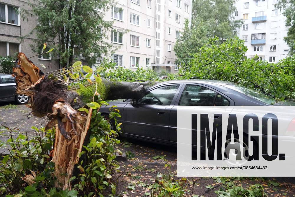 Riga, Latvija: The aftermath of a powerful storm is seen in Riga, Latvia, Aug. 23, 2026. Fallen and uprooted trees are scattered across residential areas, damaging parked cars, blocking roads and walkways, and posing a threat to nearby buildings. The storm, which swept across Latvia on Saturday evening and overnight, caused widespread damage across the country, with Riga recording the highest number of reports of storm-related incidents. As of Sunday morning, emergency services had received nearly 1,900 reports of damage caused by strong winds nationwide. Riga Latvija - ZUMAp305 20260823_zip_p305_010