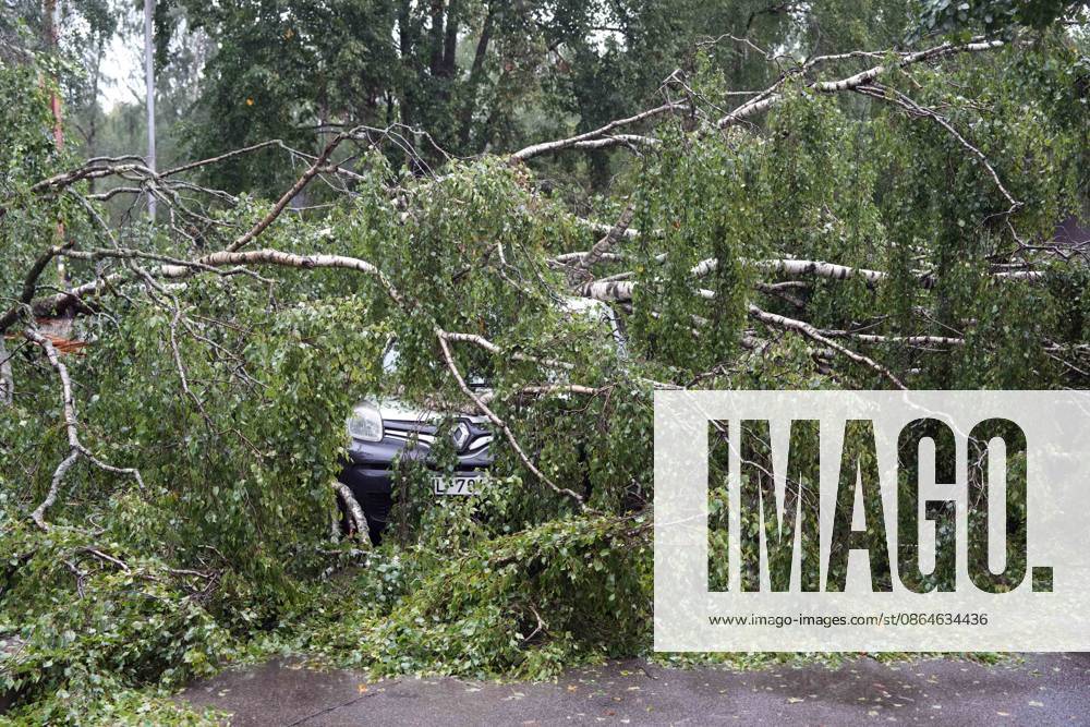 Riga, Latvija: The aftermath of a powerful storm is seen in Riga, Latvia, Aug. 23, 2026. Fallen and uprooted trees are scattered across residential areas, damaging parked cars, blocking roads and walkways, and posing a threat to nearby buildings. The storm, which swept across Latvia on Saturday evening and overnight, caused widespread damage across the country, with Riga recording the highest number of reports of storm-related incidents. As of Sunday morning, emergency services had received nearly 1,900 reports of damage caused by strong winds nationwide. Riga Latvija - ZUMAp305 20260823_zip_p305_017
