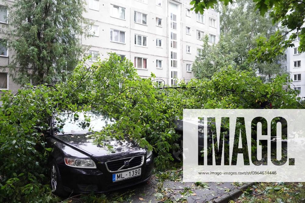 Riga, Latvija: The aftermath of a powerful storm is seen in Riga, Latvia, Aug. 23, 2026. Fallen and uprooted trees are scattered across residential areas, damaging parked cars, blocking roads and walkways, and posing a threat to nearby buildings. The storm, which swept across Latvia on Saturday evening and overnight, caused widespread damage across the country, with Riga recording the highest number of reports of storm-related incidents. As of Sunday morning, emergency services had received nearly 1,900 reports of damage caused by strong winds nationwide. Riga Latvija - ZUMAp305 20260823_zip_p305_009