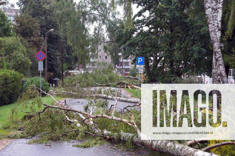 Riga, Latvija: The aftermath of a powerful storm is seen in Riga, Latvia, Aug. 23, 2026. Fallen and uprooted trees are scattered across residential areas, damaging parked cars, blocking roads and walkways, and posing a threat to nearby buildings. The storm, which swept across Latvia on Saturday evening and overnight, caused widespread damage across the country, with Riga recording the highest number of reports of storm-related incidents. As of Sunday morning, emergency services had received nearly 1,900 reports of damage caused by strong winds nationwide. Riga Latvija - ZUMAp305 20260823_zip_p305_011