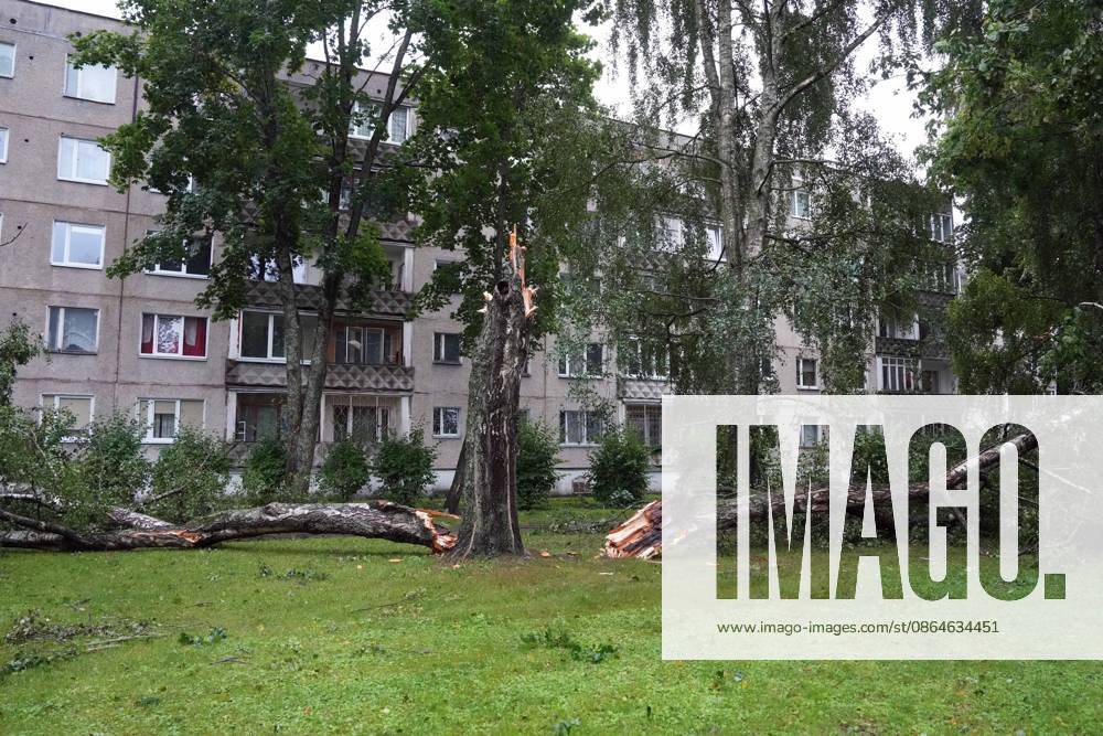 Riga, Latvija: The aftermath of a powerful storm is seen in Riga, Latvia, Aug. 23, 2026. Fallen and uprooted trees are scattered across residential areas, damaging parked cars, blocking roads and walkways, and posing a threat to nearby buildings. The storm, which swept across Latvia on Saturday evening and overnight, caused widespread damage across the country, with Riga recording the highest number of reports of storm-related incidents. As of Sunday morning, emergency services had received nearly 1,900 reports of damage caused by strong winds nationwide. Riga Latvija - ZUMAp305 20260823_zip_p305_012