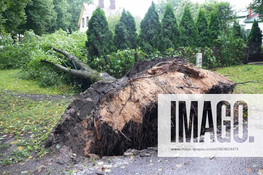 Riga, Latvija: The aftermath of a powerful storm is seen in Riga, Latvia, Aug. 23, 2026. Fallen and uprooted trees are scattered across residential areas, damaging parked cars, blocking roads and walkways, and posing a threat to nearby buildings. The storm, which swept across Latvia on Saturday evening and overnight, caused widespread damage across the country, with Riga recording the highest number of reports of storm-related incidents. As of Sunday morning, emergency services had received nearly 1,900 reports of damage caused by strong winds nationwide. Riga Latvija - ZUMAp305 20260823_zip_p305_014