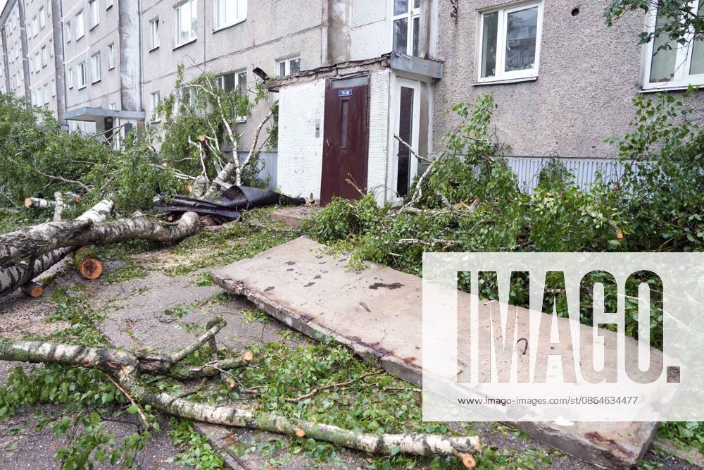 Riga, Latvija: The aftermath of a powerful storm is seen in Riga, Latvia, Aug. 23, 2026. Fallen and uprooted trees are scattered across residential areas, damaging parked cars, blocking roads and walkways, and posing a threat to nearby buildings. The storm, which swept across Latvia on Saturday evening and overnight, caused widespread damage across the country, with Riga recording the highest number of reports of storm-related incidents. As of Sunday morning, emergency services had received nearly 1,900 reports of damage caused by strong winds nationwide. Riga Latvija - ZUMAp305 20260823_zip_p305_016