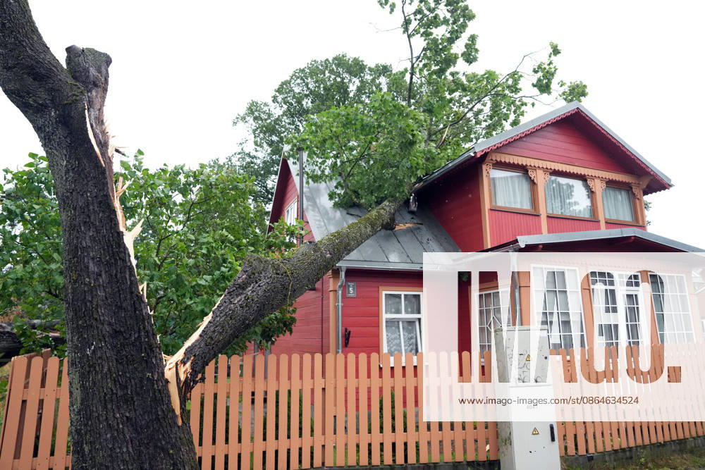 Riga, Latvija: The aftermath of a powerful storm is seen in Riga, Latvia, Aug. 23, 2026. Fallen and uprooted trees are scattered across residential areas, damaging parked cars, blocking roads and walkways, and posing a threat to nearby buildings. The storm, which swept across Latvia on Saturday evening and overnight, caused widespread damage across the country, with Riga recording the highest number of reports of storm-related incidents. As of Sunday morning, emergency services had received nearly 1,900 reports of damage caused by strong winds nationwide. Riga Latvija - ZUMAp305 20260823_zip_p305_022