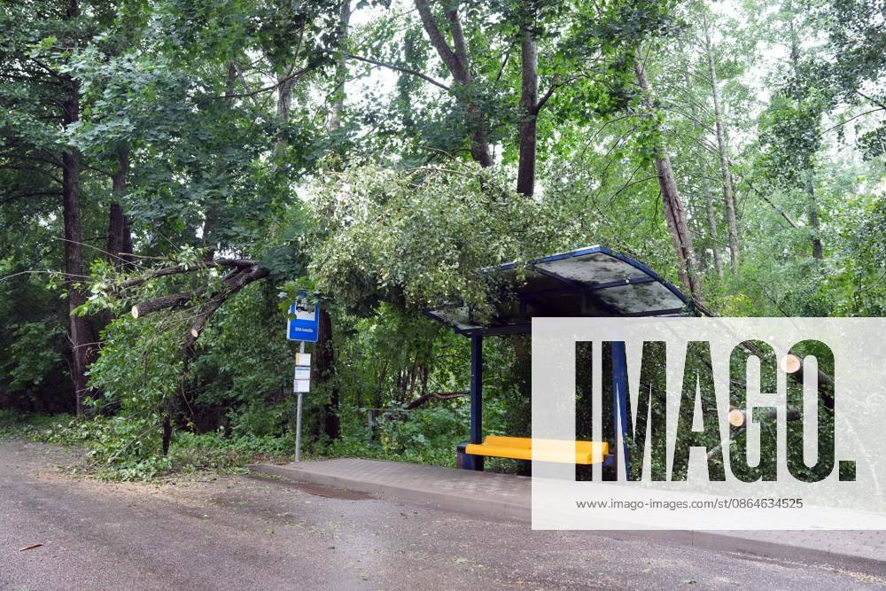 Riga, Latvija: The aftermath of a powerful storm is seen in Riga, Latvia, Aug. 23, 2026. Fallen and uprooted trees are scattered across residential areas, damaging parked cars, blocking roads and walkways, and posing a threat to nearby buildings. The storm, which swept across Latvia on Saturday evening and overnight, caused widespread damage across the country, with Riga recording the highest number of reports of storm-related incidents. As of Sunday morning, emergency services had received nearly 1,900 reports of damage caused by strong winds nationwide. Riga Latvija - ZUMAp305 20260823_zip_p305_023