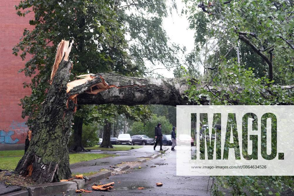 Riga, Latvija: The aftermath of a powerful storm is seen in Riga, Latvia, Aug. 23, 2026. Fallen and uprooted trees are scattered across residential areas, damaging parked cars, blocking roads and walkways, and posing a threat to nearby buildings. The storm, which swept across Latvia on Saturday evening and overnight, caused widespread damage across the country, with Riga recording the highest number of reports of storm-related incidents. As of Sunday morning, emergency services had received nearly 1,900 reports of damage caused by strong winds nationwide. Riga Latvija - ZUMAp305 20260823_zip_p305_024