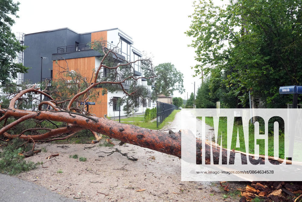 Riga, Latvija: The aftermath of a powerful storm is seen in Riga, Latvia, Aug. 23, 2026. Fallen and uprooted trees are scattered across residential areas, damaging parked cars, blocking roads and walkways, and posing a threat to nearby buildings. The storm, which swept across Latvia on Saturday evening and overnight, caused widespread damage across the country, with Riga recording the highest number of reports of storm-related incidents. As of Sunday morning, emergency services had received nearly 1,900 reports of damage caused by strong winds nationwide. Riga Latvija - ZUMAp305 20260823_zip_p305_025