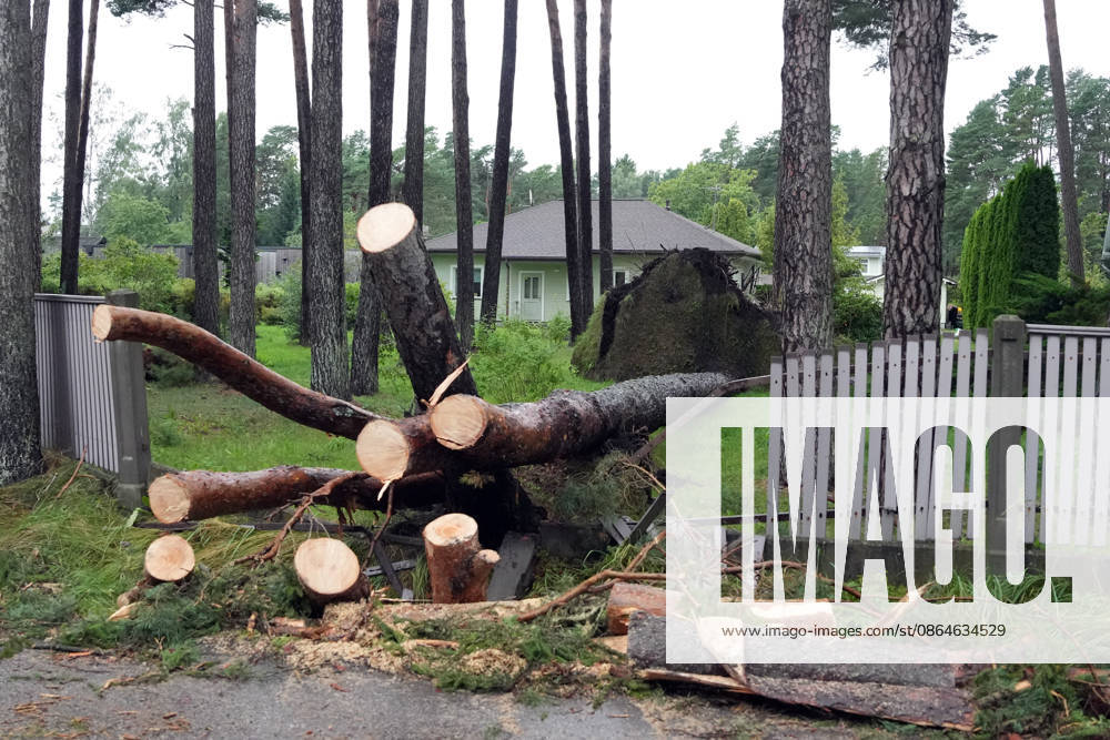 Riga, Latvija: The aftermath of a powerful storm is seen in Riga, Latvia, Aug. 23, 2026. Fallen and uprooted trees are scattered across residential areas, damaging parked cars, blocking roads and walkways, and posing a threat to nearby buildings. The storm, which swept across Latvia on Saturday evening and overnight, caused widespread damage across the country, with Riga recording the highest number of reports of storm-related incidents. As of Sunday morning, emergency services had received nearly 1,900 reports of damage caused by strong winds nationwide. Riga Latvija - ZUMAp305 20260823_zip_p305_026