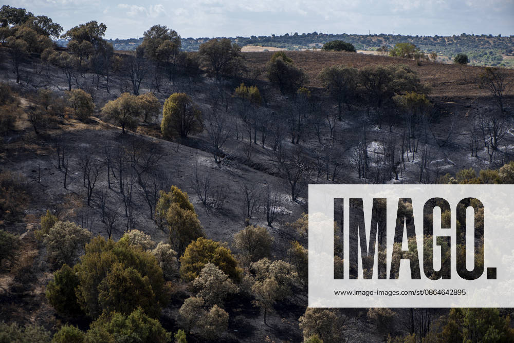 A wildfire in Aldea del Fresno, Madrid, forces the evacuation of this town and Villamantilla Vista after the fire passed through, on August 23, 2026, in Aldea del Fresno, Madrid, Spain. The wildfire that originated in Aldea del Fresno was downgraded from Operational Level 1 to Level 0 under the Civil Protection Plan on August 20, following a very favorable progression of the fire. AUGUST 23, 2026 FIRE EMAKES BURNT LAND NATURE ABURNT TREES CHARRED FIRE WESTERN MOUNTAINS FIRE S PATH BURNT LANDSCAPE LANDSCAPE Aldea del Fresno Madrid Aldea del Fresno Madrid, Spain