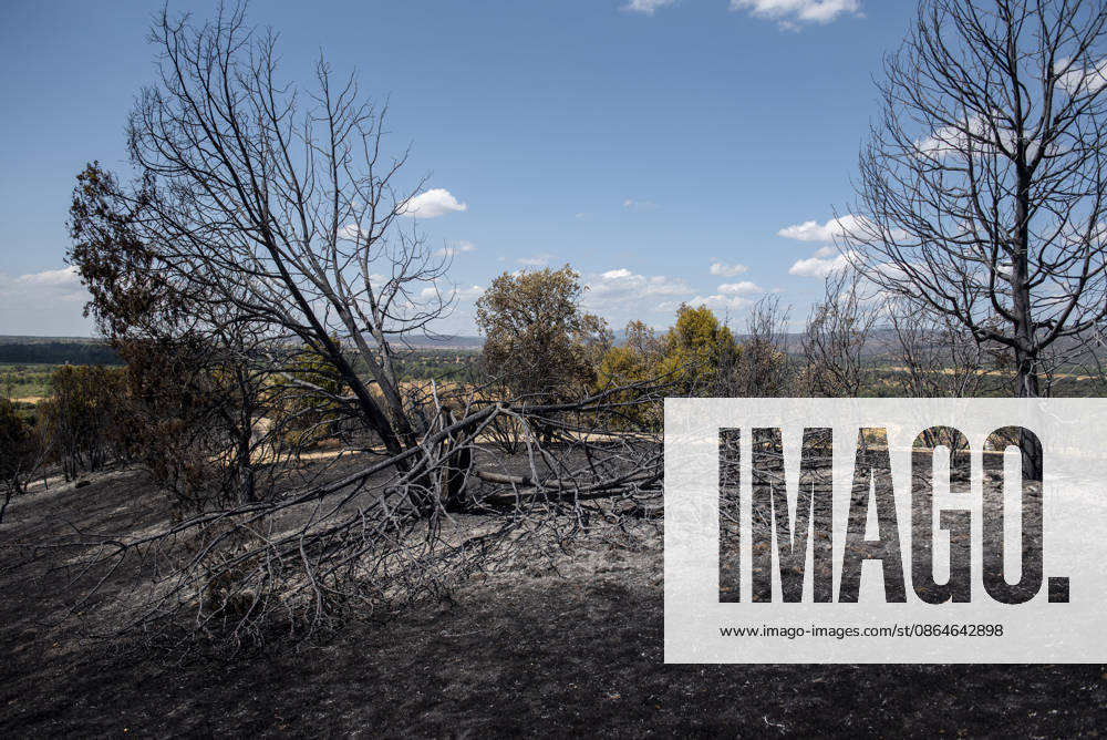 A wildfire in Aldea del Fresno, Madrid, forces the evacuation of this town and Villamantilla Vista after the fire passed through, on August 23, 2026, in Aldea del Fresno, Madrid, Spain. The wildfire that originated in Aldea del Fresno was downgraded from Operational Level 1 to Level 0 under the Civil Protection Plan on August 20, following a very favorable progression of the fire. AUGUST 23, 2026 FIRE EMAKES BURNT LAND NATURE ABURNT TREES CHARRED FIRE WESTERN MOUNTAINS FIRE S PATH BURNT LANDSCAPE LANDSCAPE Aldea del Fresno Madrid Aldea del Fresno Madrid, Spain