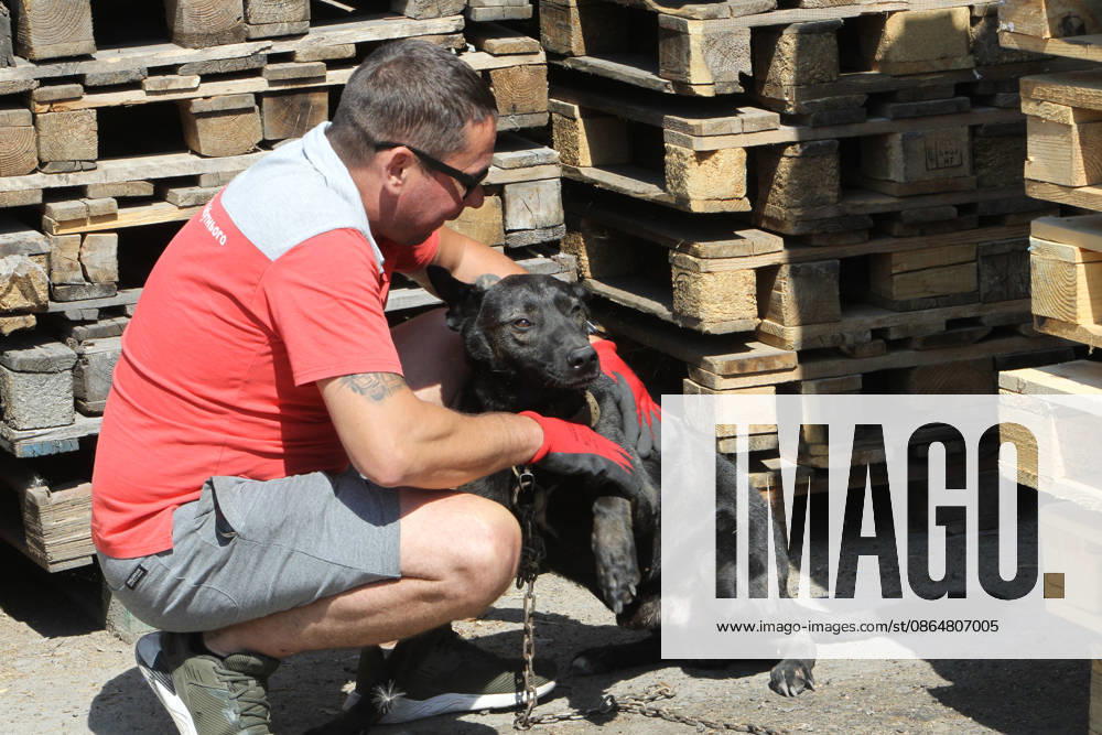 A man pets Tsygan the dog, which lives at a parking lot near the shopping and entertainment centre, after a Russian attack in the suburb of Dnipro, Ukraine, August 25, 2026. Fires broke out inside and near the shopping mall as a result of the Russian attack. (Photo by Mykola Miakshykov Ukrinform) Russian attack hits parking lot near shopping mall in Dnipro suburb