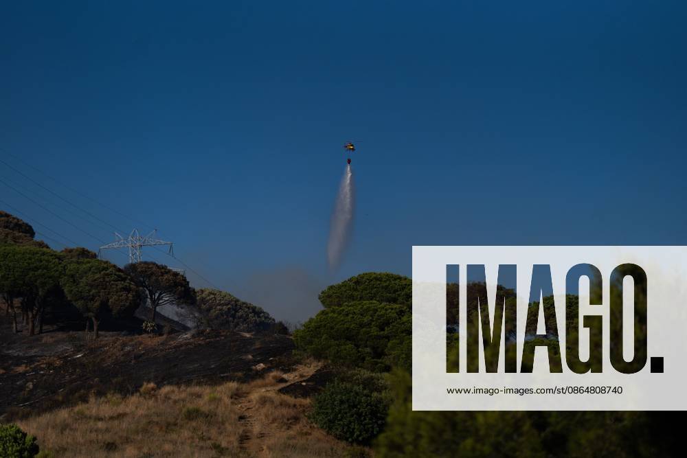 BARCELONA, SPAIN - AUGUST 25, 2026. Firefighters battle a devastating wildfire that has scorched dozens of hectares in Collserola Natural Park, prompting the precautionary evacuation of the Can Masdeu social center and several residential homes in the Torre BaroÂ³ neighborhood. Barcelona Spain - ZUMAq101 20260825_zna_q101_058