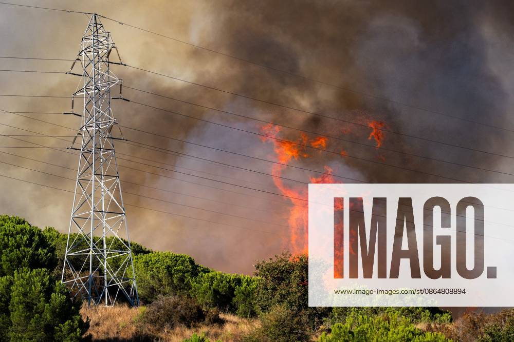 BARCELONA, SPAIN - AUGUST 25, 2026. Firefighters battle a devastating wildfire that has scorched dozens of hectares in Collserola Natural Park, prompting the precautionary evacuation of the Can Masdeu social center and several residential homes in the Torre BaroÂ³ neighborhood. Barcelona Spain - ZUMAq101 20260825_zna_q101_063
