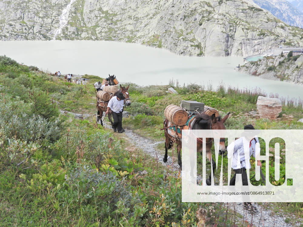 Switzerland, Grimsel Pass, Saeumerfest (23rd Anniversary of the Sprinz Route) from Sachseln to Domodossola, Stage 4: Guttannen–Obergesteln. Photo: The Saeumer with their horses climbing the Grimsel Pass; the Grimsel Reservoir in the background.