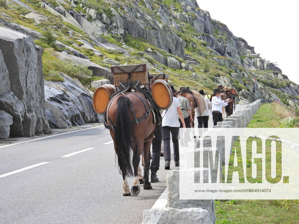 Switzerland, Grimsel Pass, Saeumerfest (23rd Anniversary), Sprinz Route from Sachseln to Domodossola, Stage 4: Guttannen–Obergesteln. Photo: The Saeumer with their horses on the ascent to the Grimsel Pass