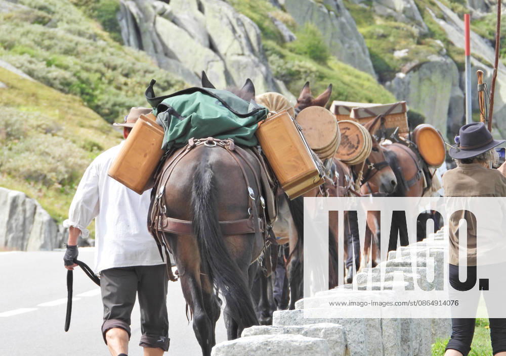 Switzerland, Grimsel Pass, Saeumerfest (23rd Anniversary), Sprinz Route from Sachseln to Domodossola, Stage 4: Guttannen–Obergesteln. Photo: The Saeumer with their horses on the ascent to the Grimsel Pass