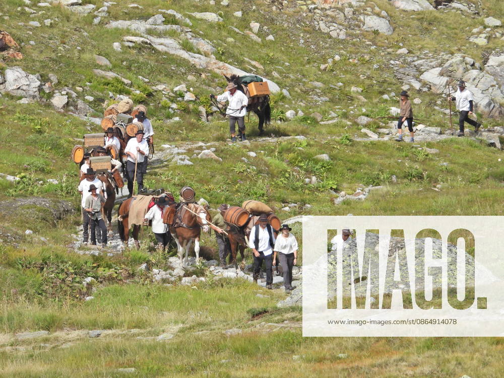 Switzerland, Grimsel Pass, Saeumerfest (23rd Anniversary), Sprinz Route from Sachseln to Domodossola, Stage 4: Guttannen–Obergesteln. Photo: The Saeumer with their horses on the ascent to the Grimsel Pass