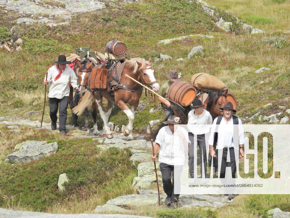 Switzerland, Grimsel Pass, Saeumerfest (23rd Anniversary), Sprinz Route from Sachseln to Domodossola, Stage 4: Guttannen–Obergesteln. Photo: The Saeumer with their horses on the ascent to the Grimsel Pass