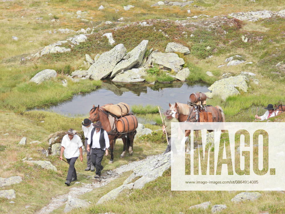 Switzerland, Grimsel Pass, Saeumerfest (23rd Anniversary), Sprinz Route from Sachseln to Domodossola, Stage 4: Guttannen–Obergesteln. Photo: The Saeumer with their horses on the ascent to the Grimsel Pass
